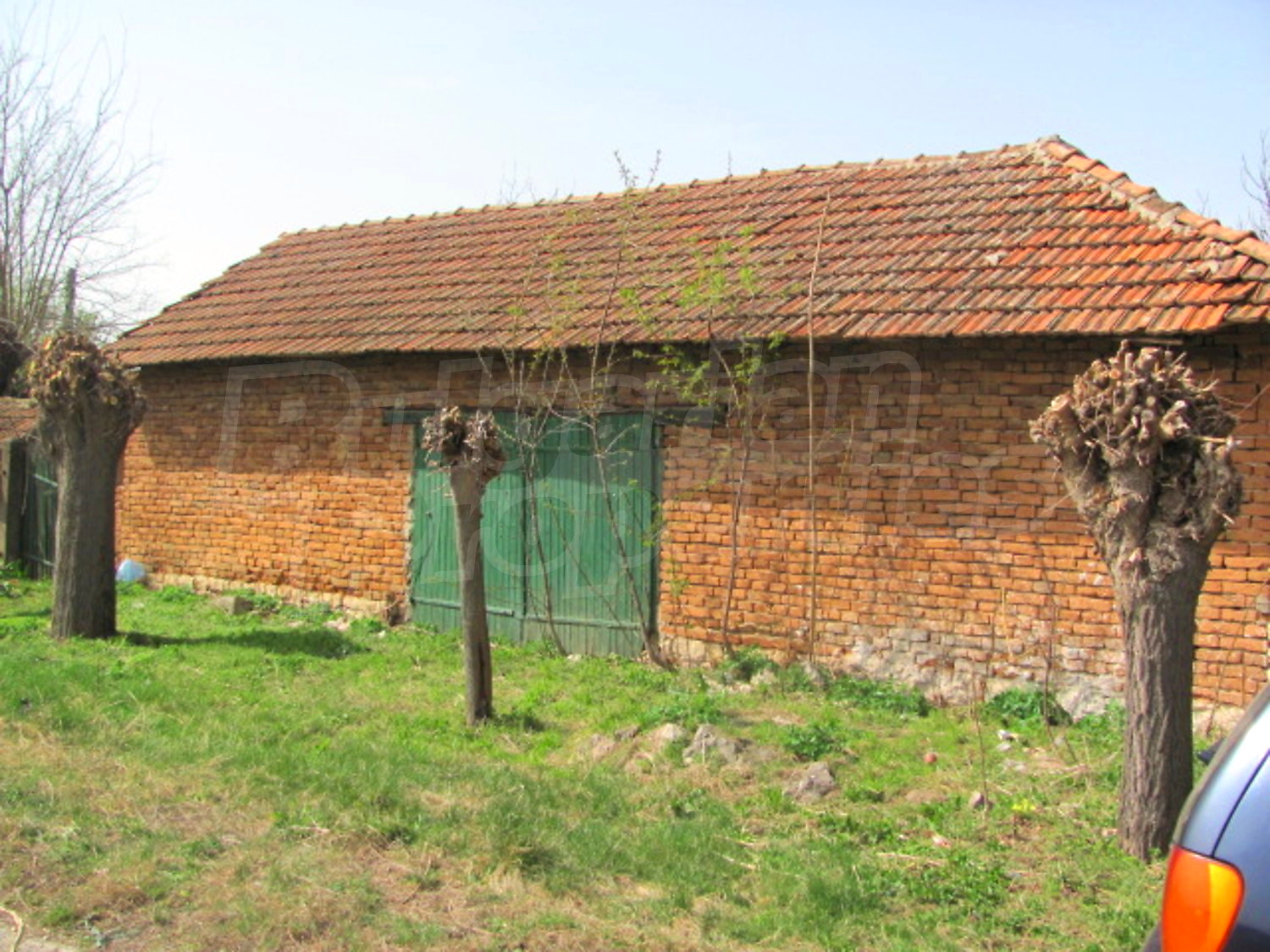 Gallery Picture 19