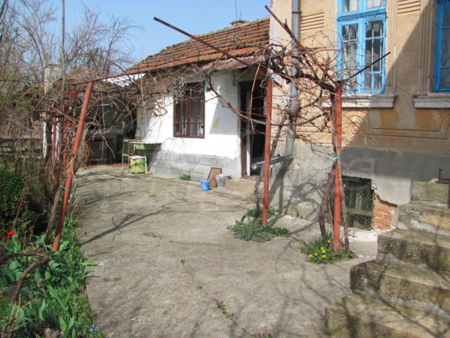 Gallery Picture 23