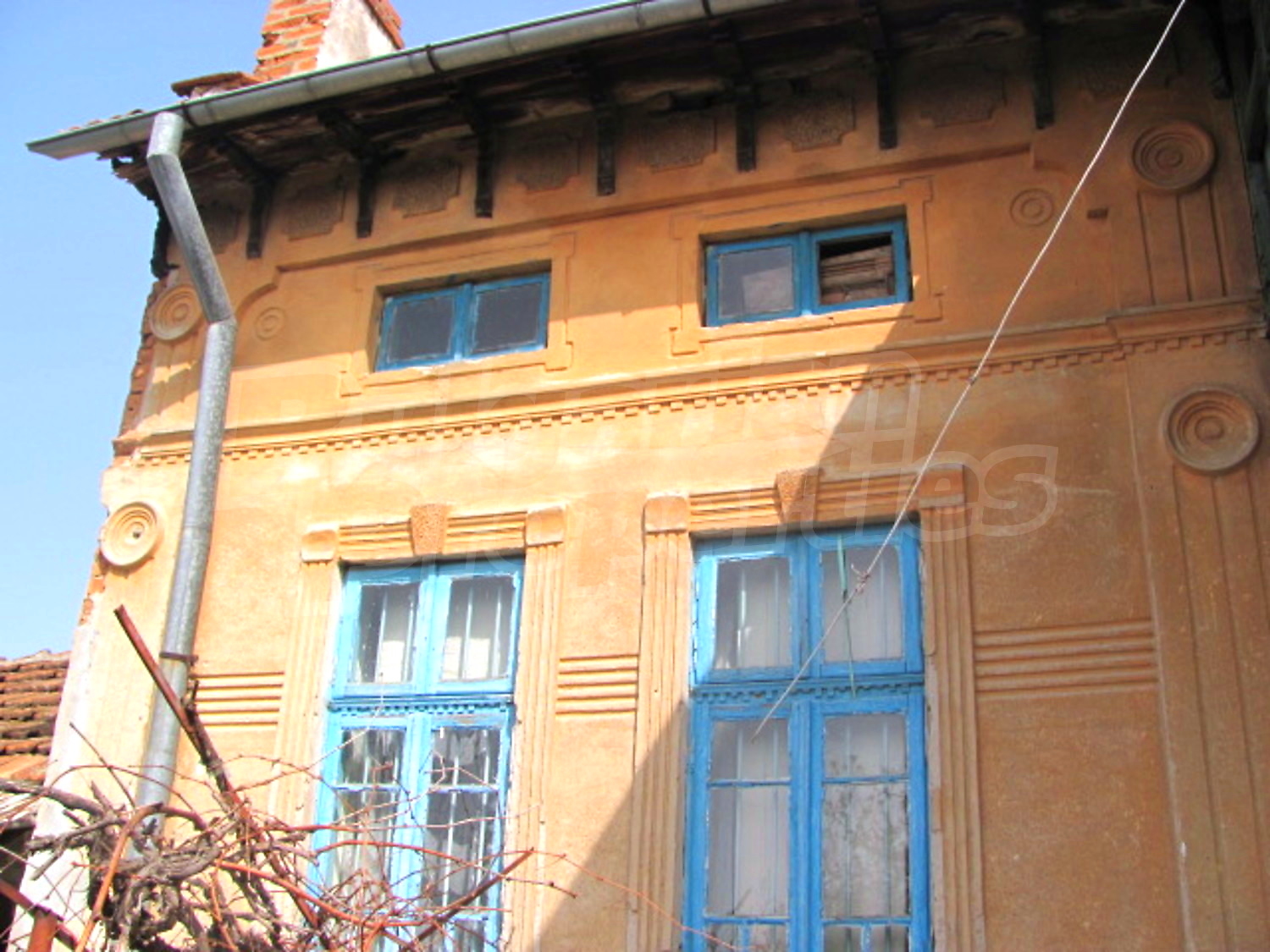 Gallery Picture 5