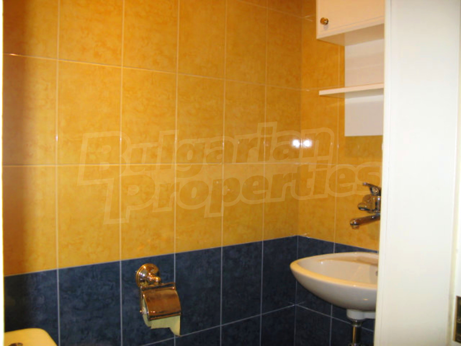 Gallery Picture 19
