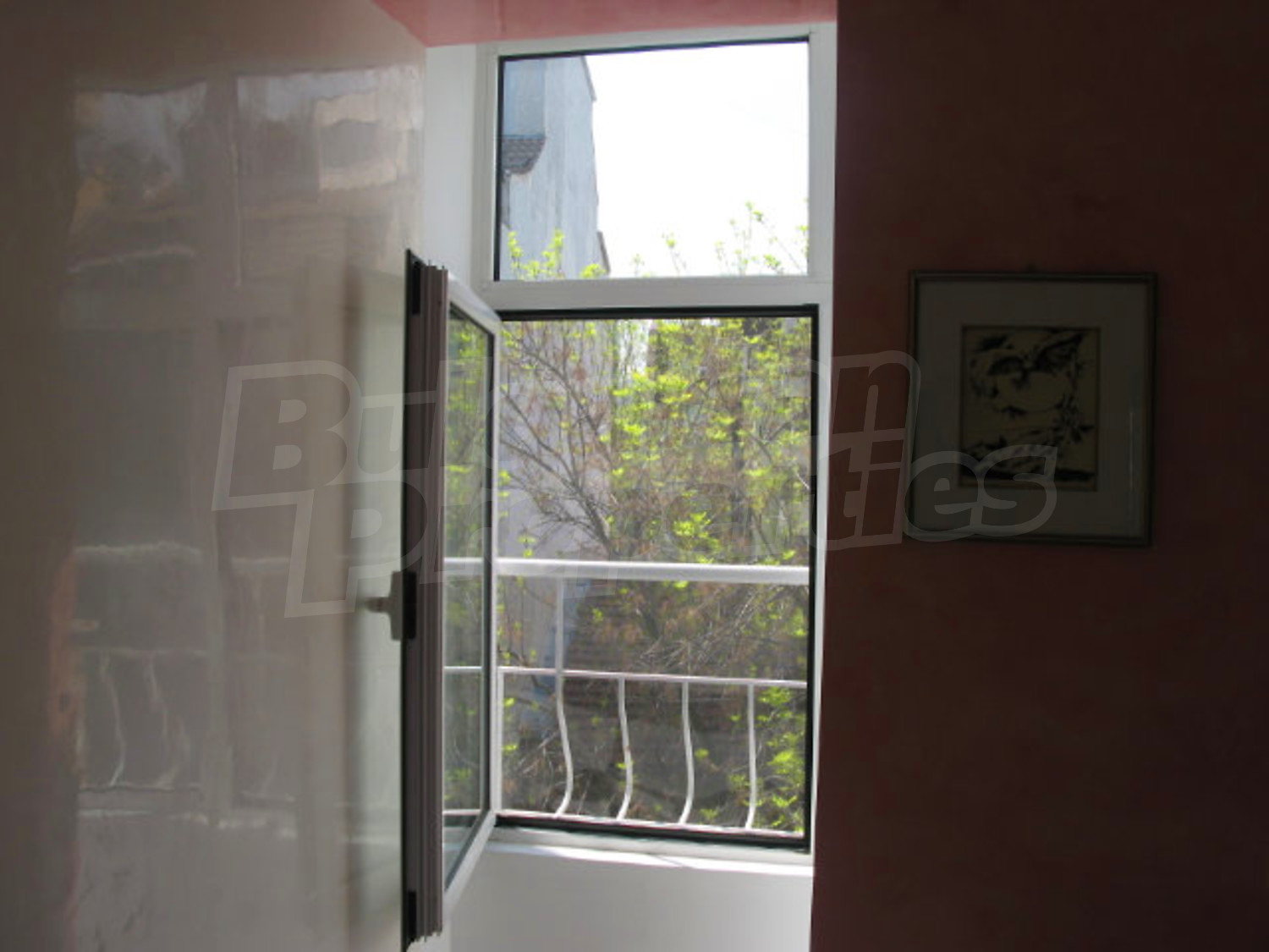 Gallery Picture 21