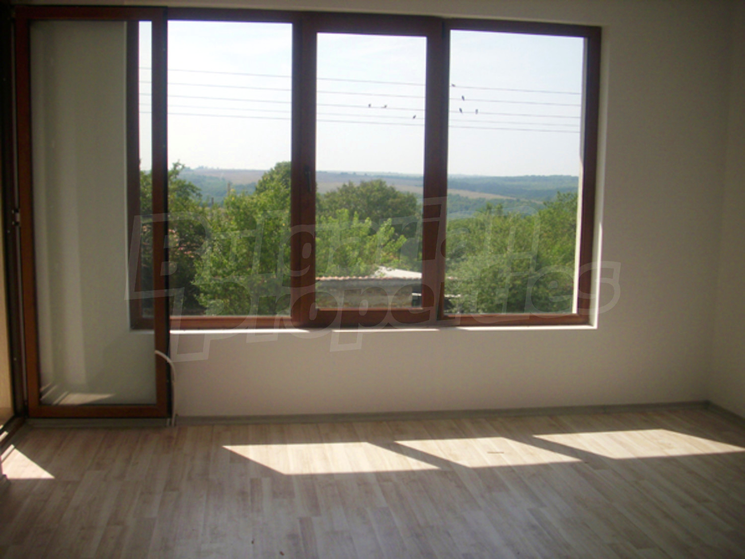 Gallery Picture 9