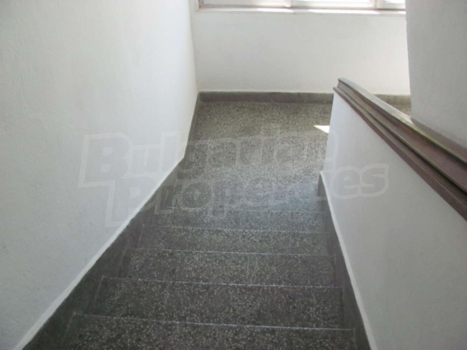 Gallery Picture 3