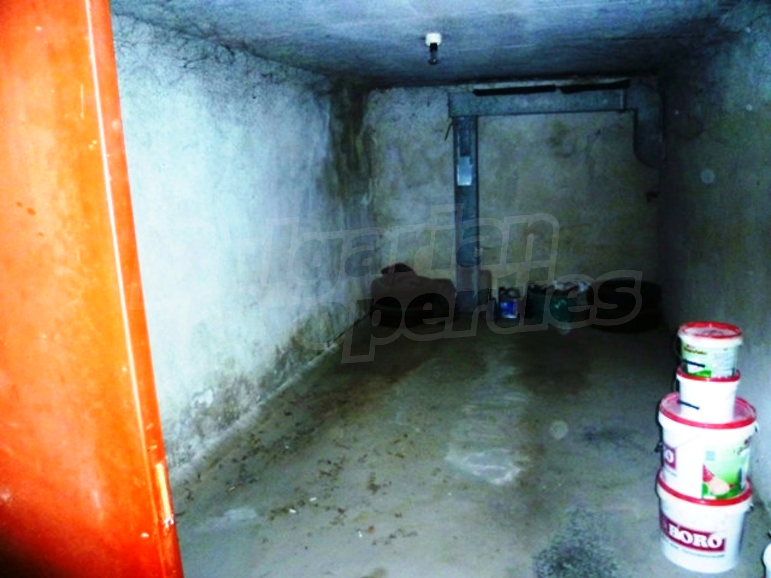 Gallery Picture 19