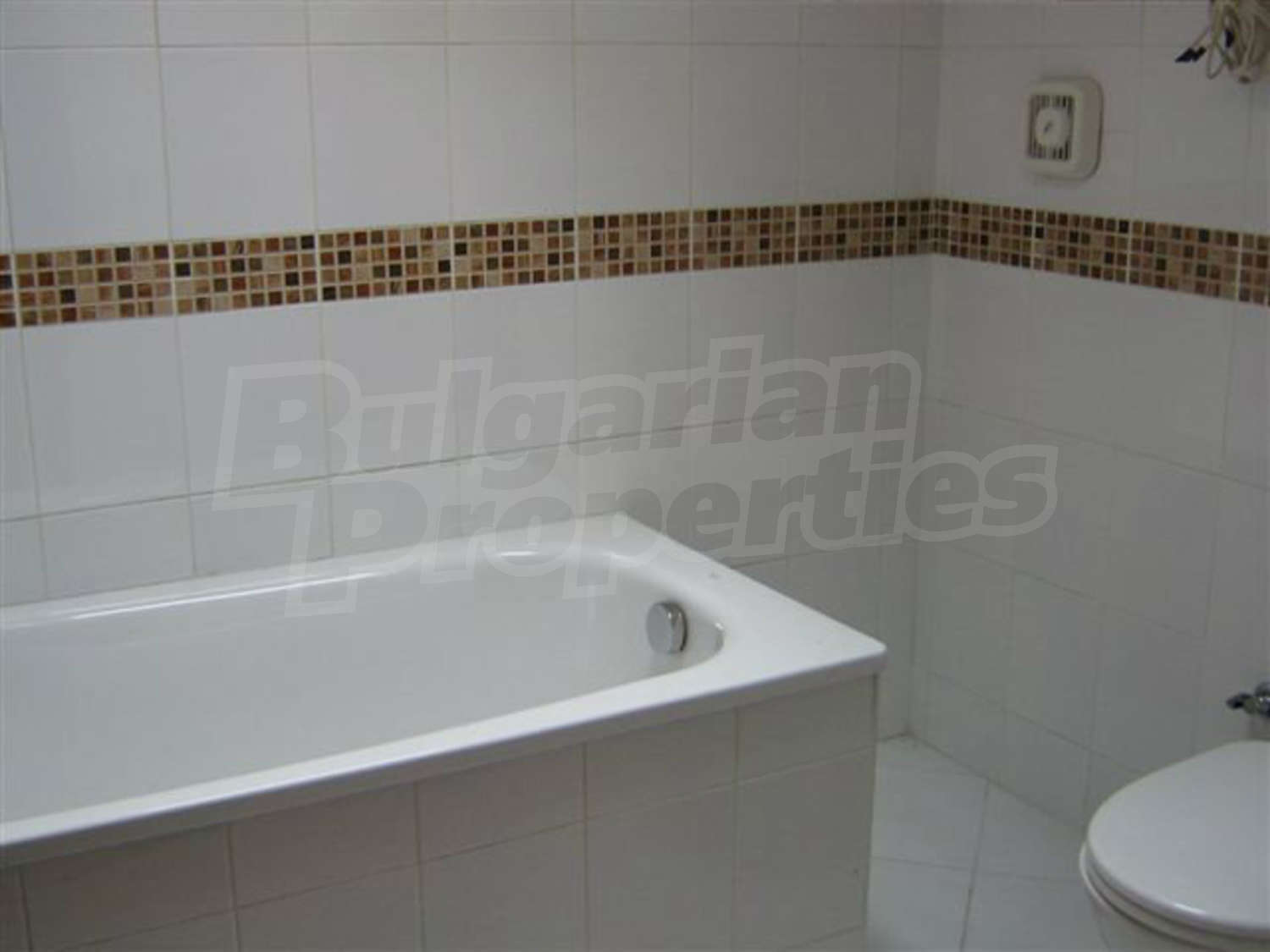 Gallery Picture 13