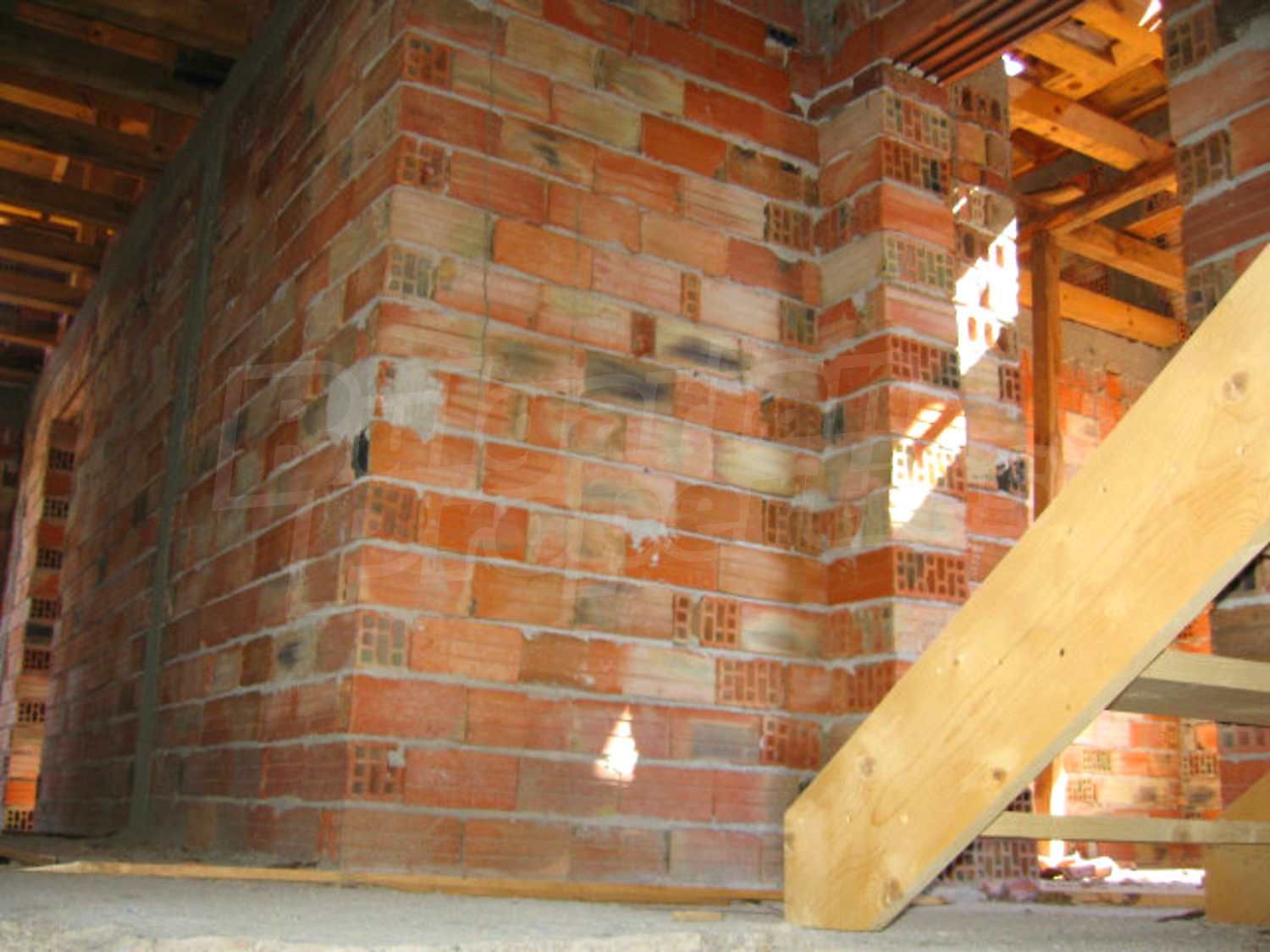 Gallery Picture 17