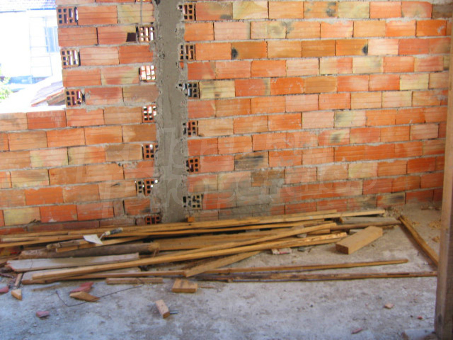 Gallery Picture 23