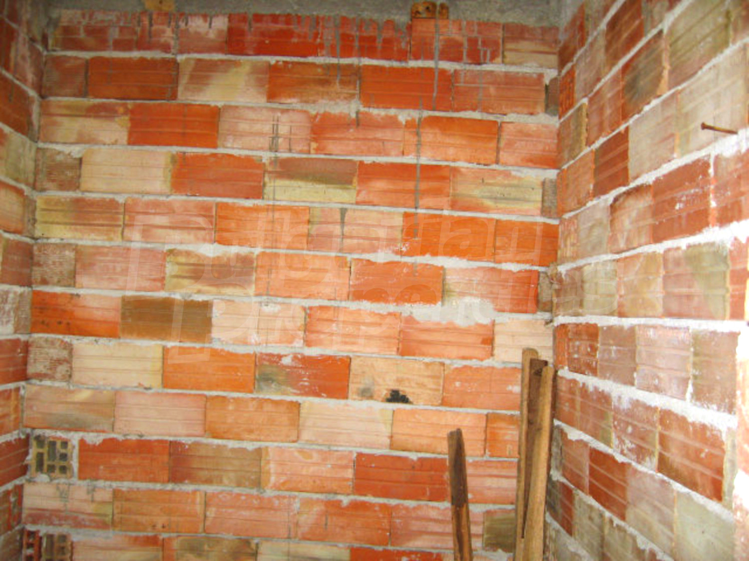 Gallery Picture 28