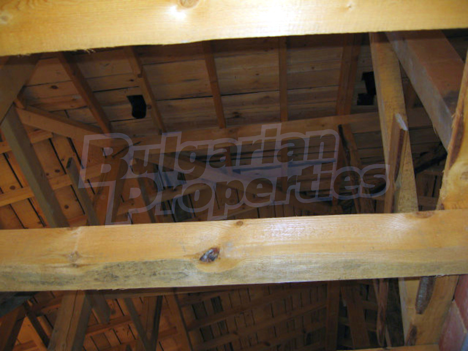Gallery Picture 33