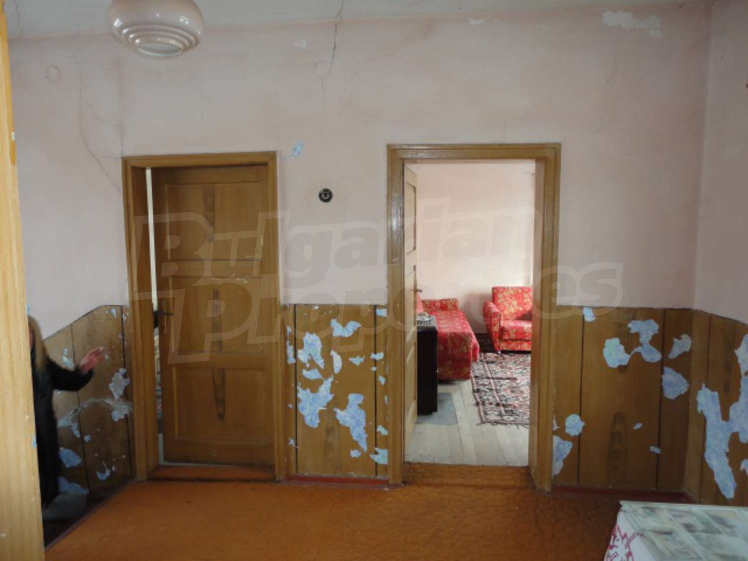 Gallery Picture 22