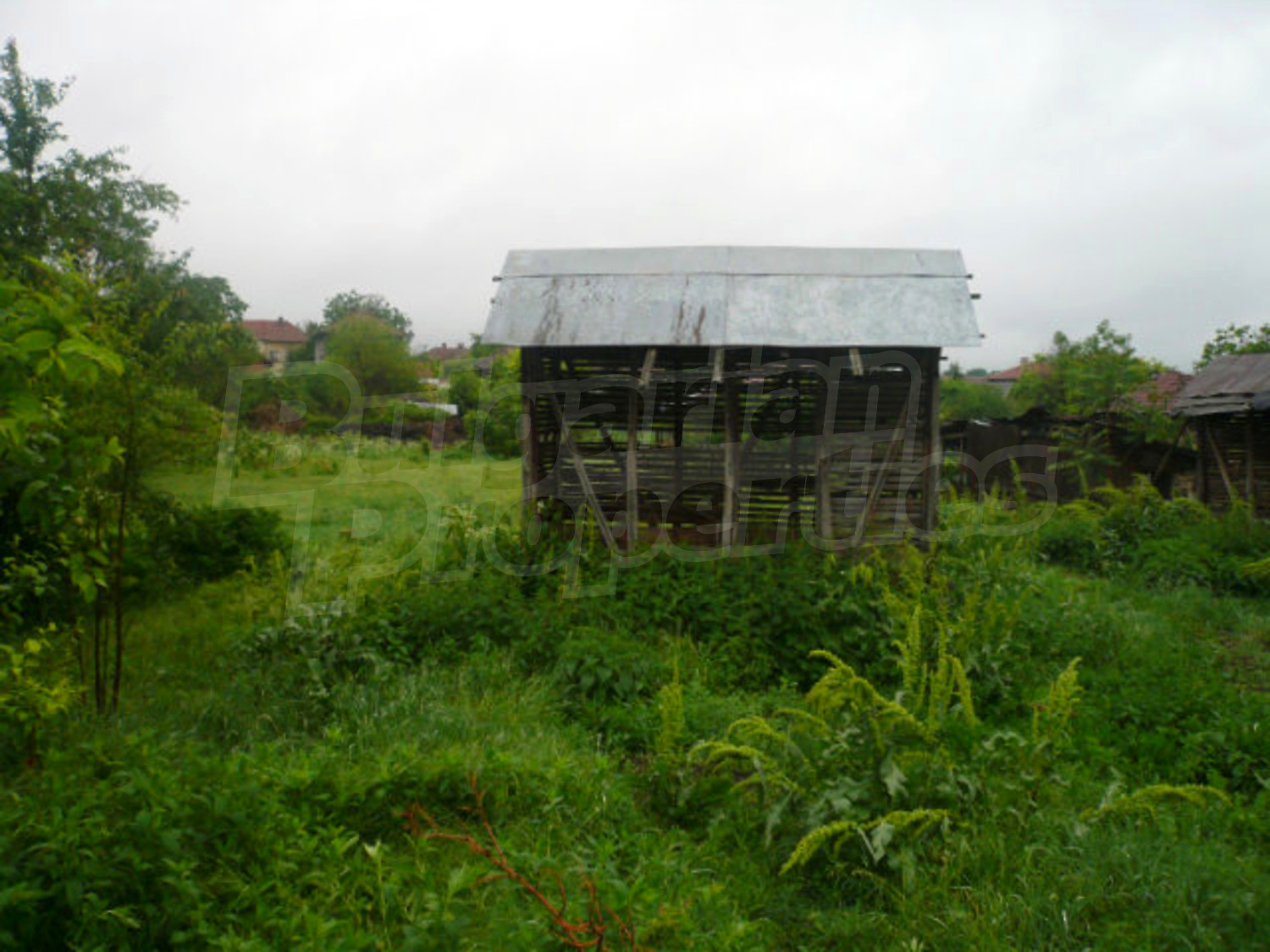 Gallery Picture 14