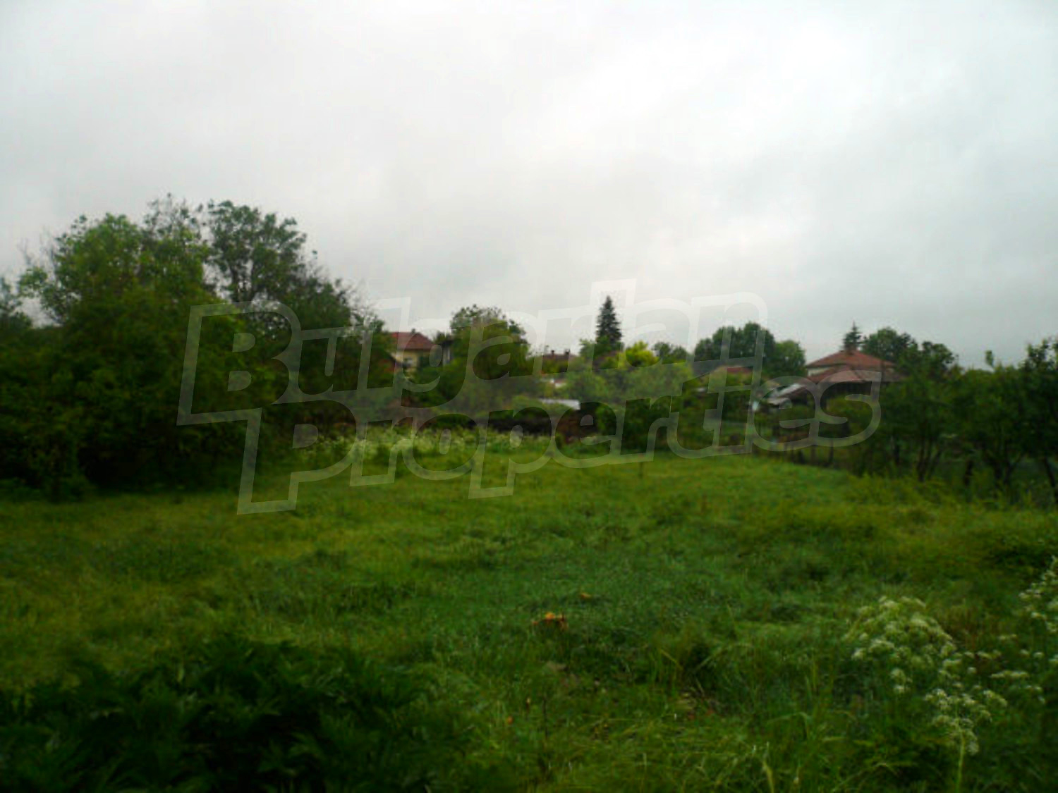 Gallery Picture 15