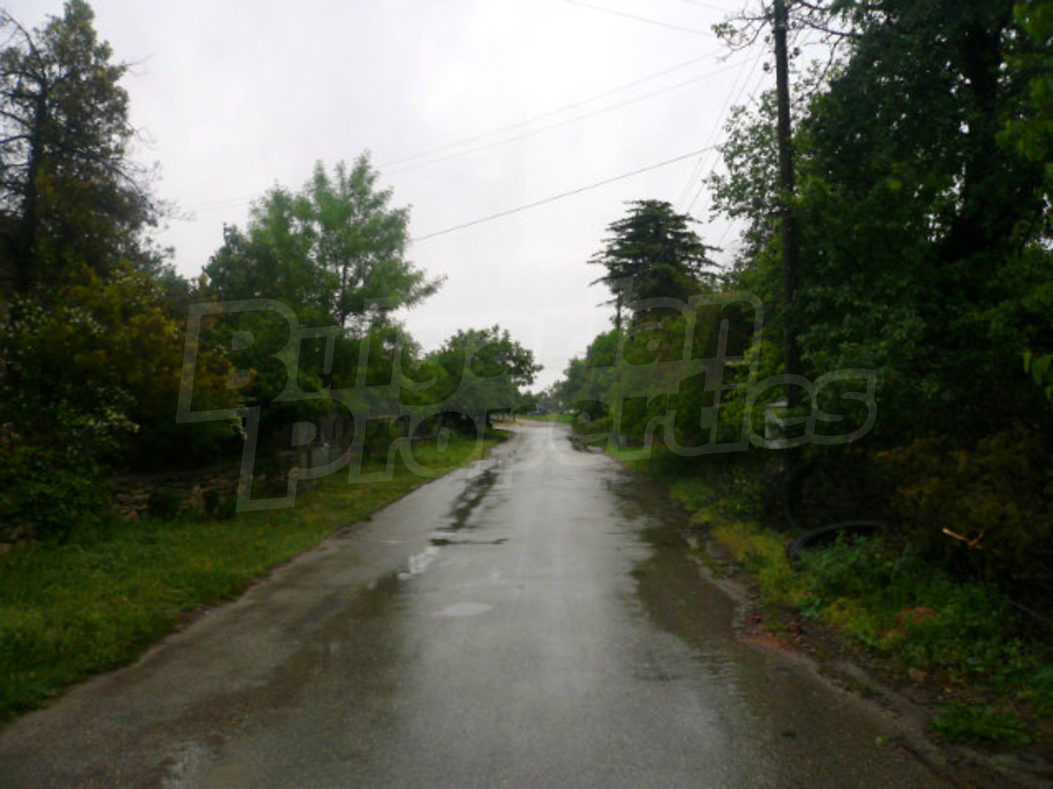 Gallery Picture 16