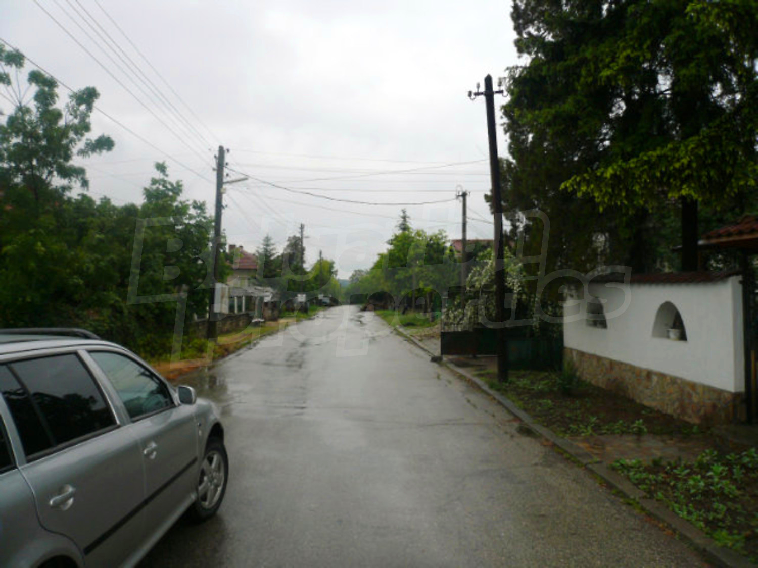 Gallery Picture 17