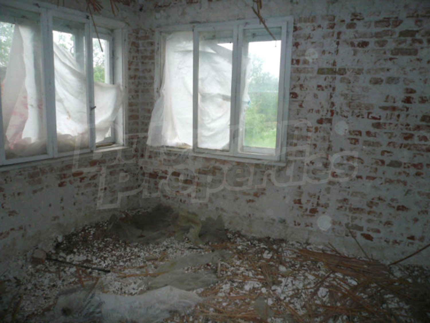 Gallery Picture 8