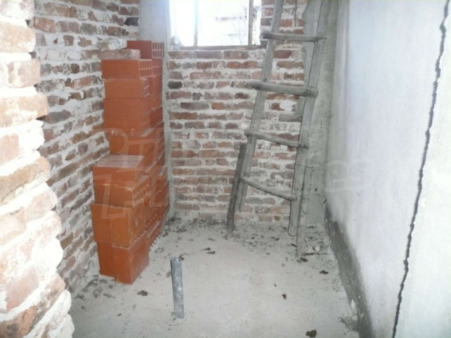 Gallery Picture 11