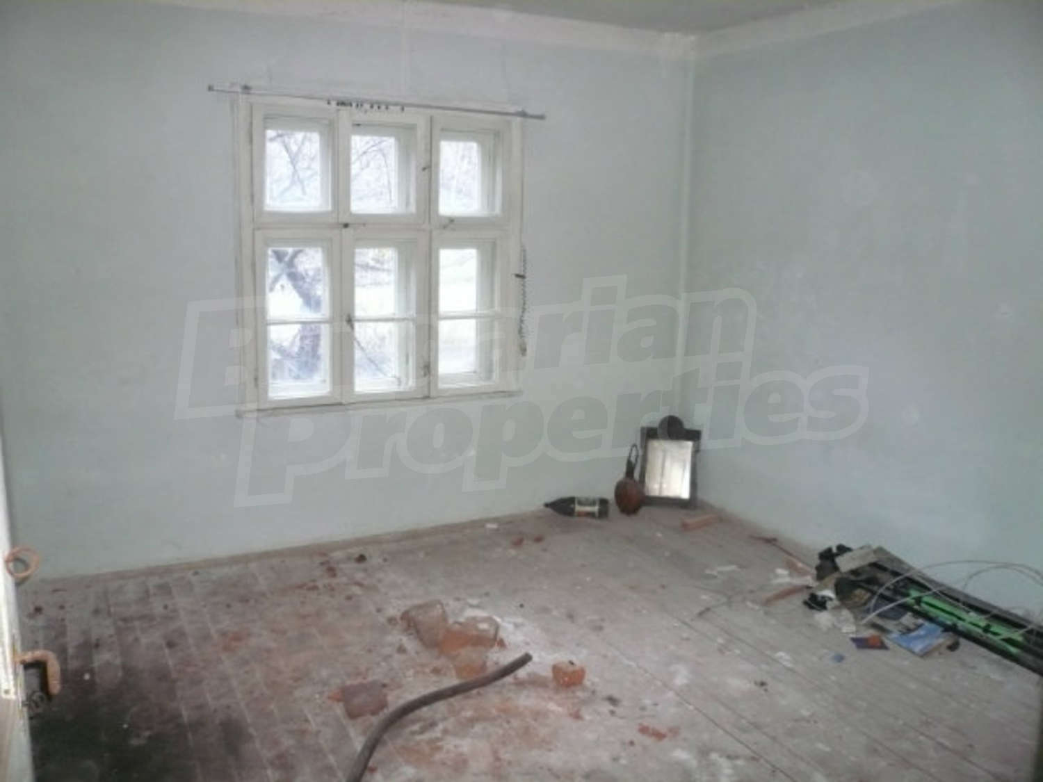 Gallery Picture 13