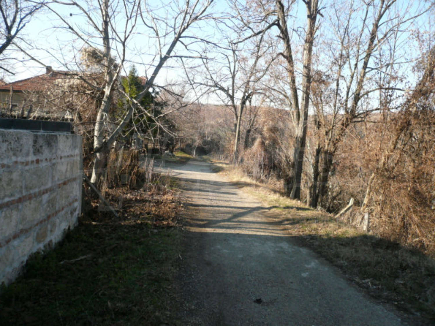 Gallery Picture 21