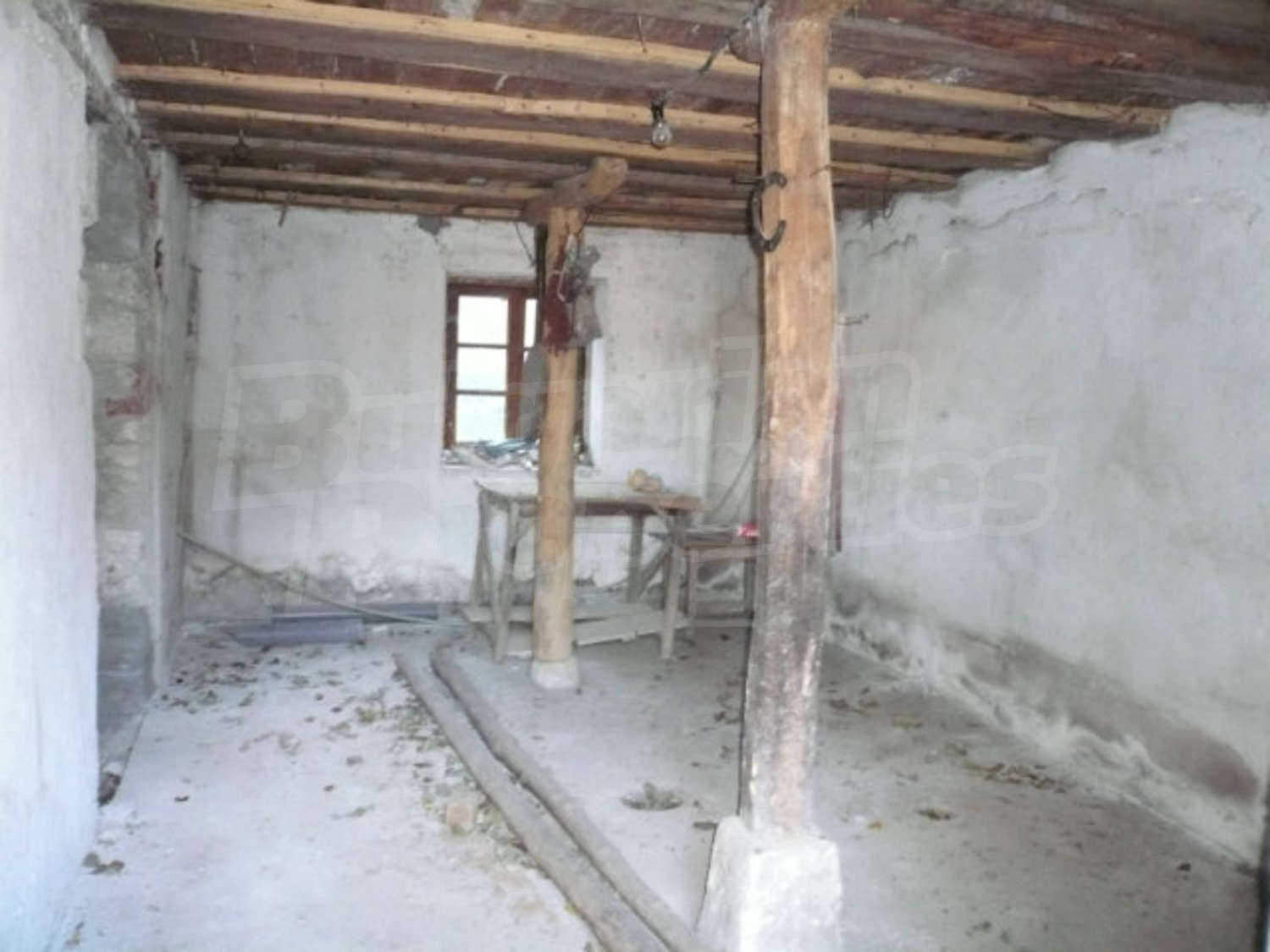 Gallery Picture 6