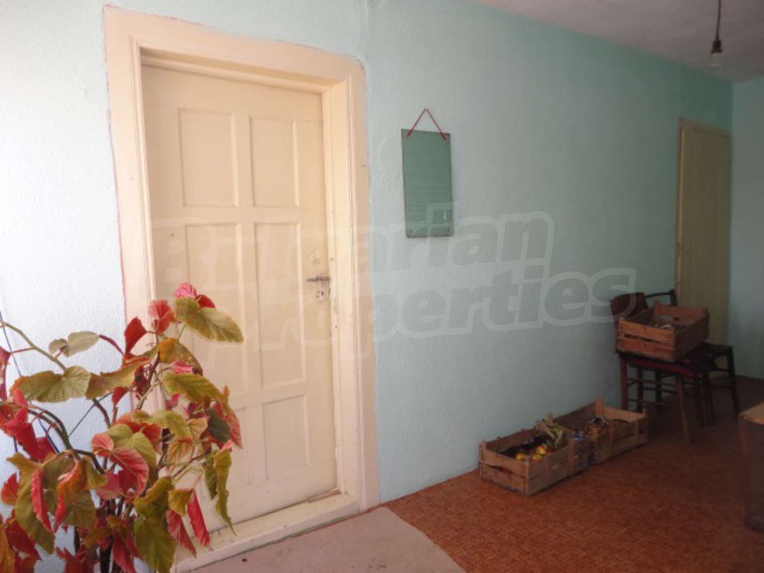 Gallery Picture 17