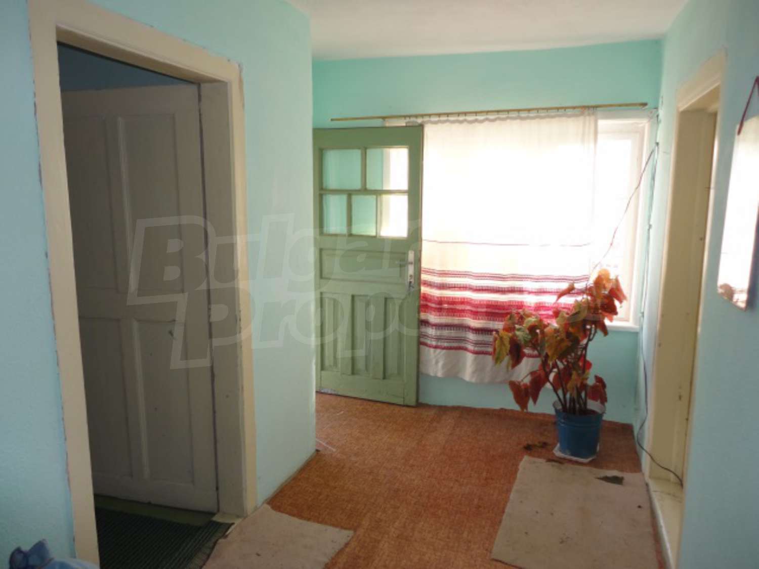 Gallery Picture 18