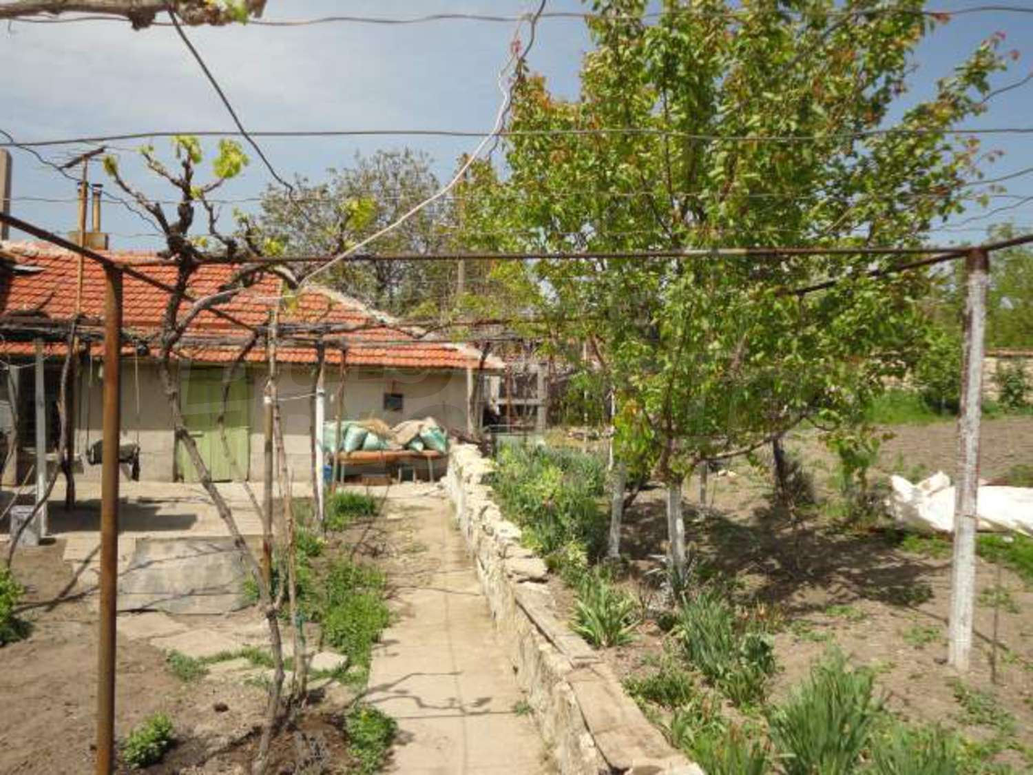 Gallery Picture 30