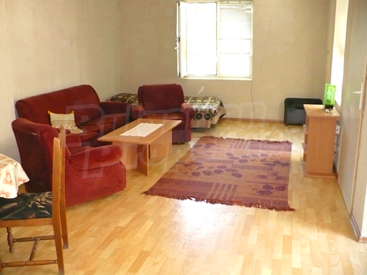 Gallery Picture 19