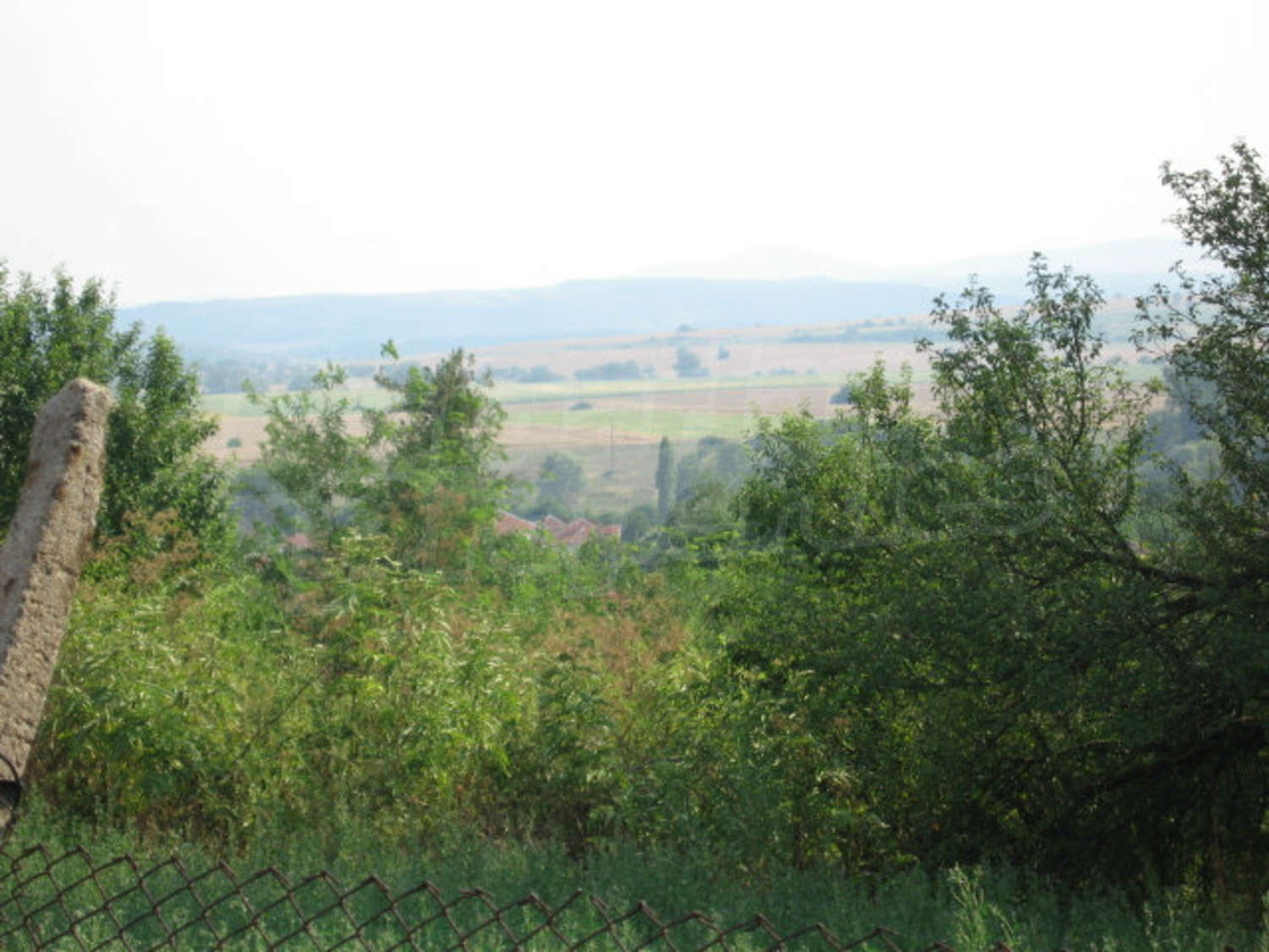 Gallery Picture 16