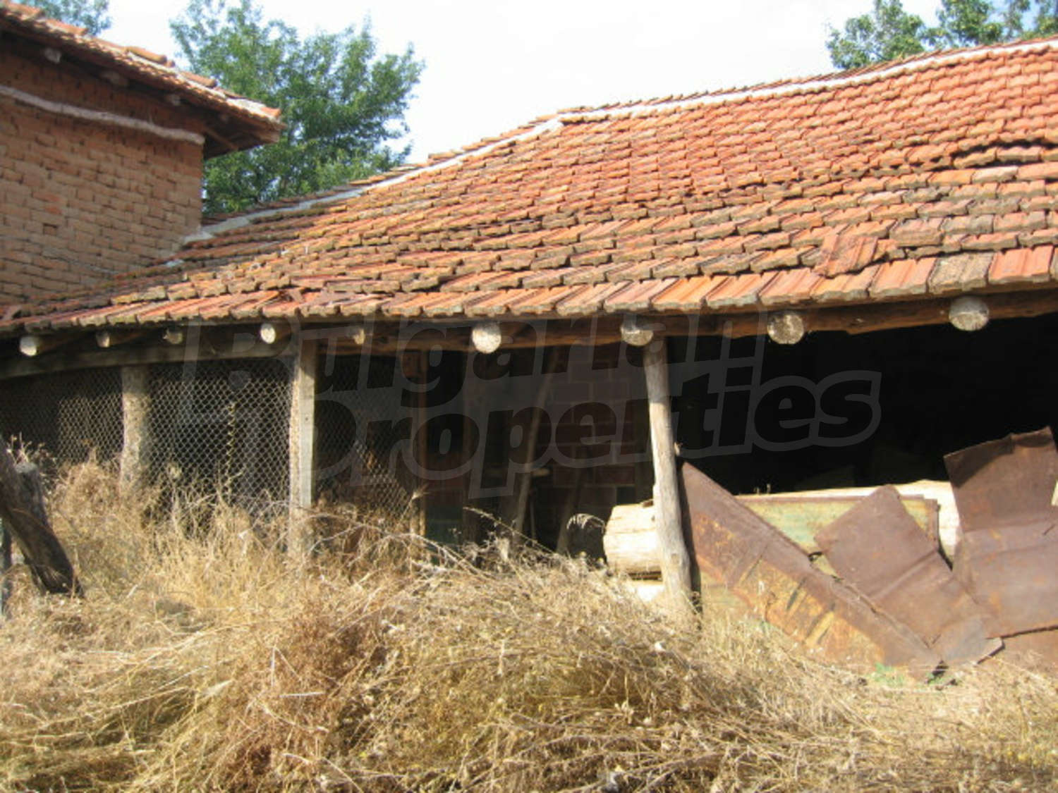 Gallery Picture 19