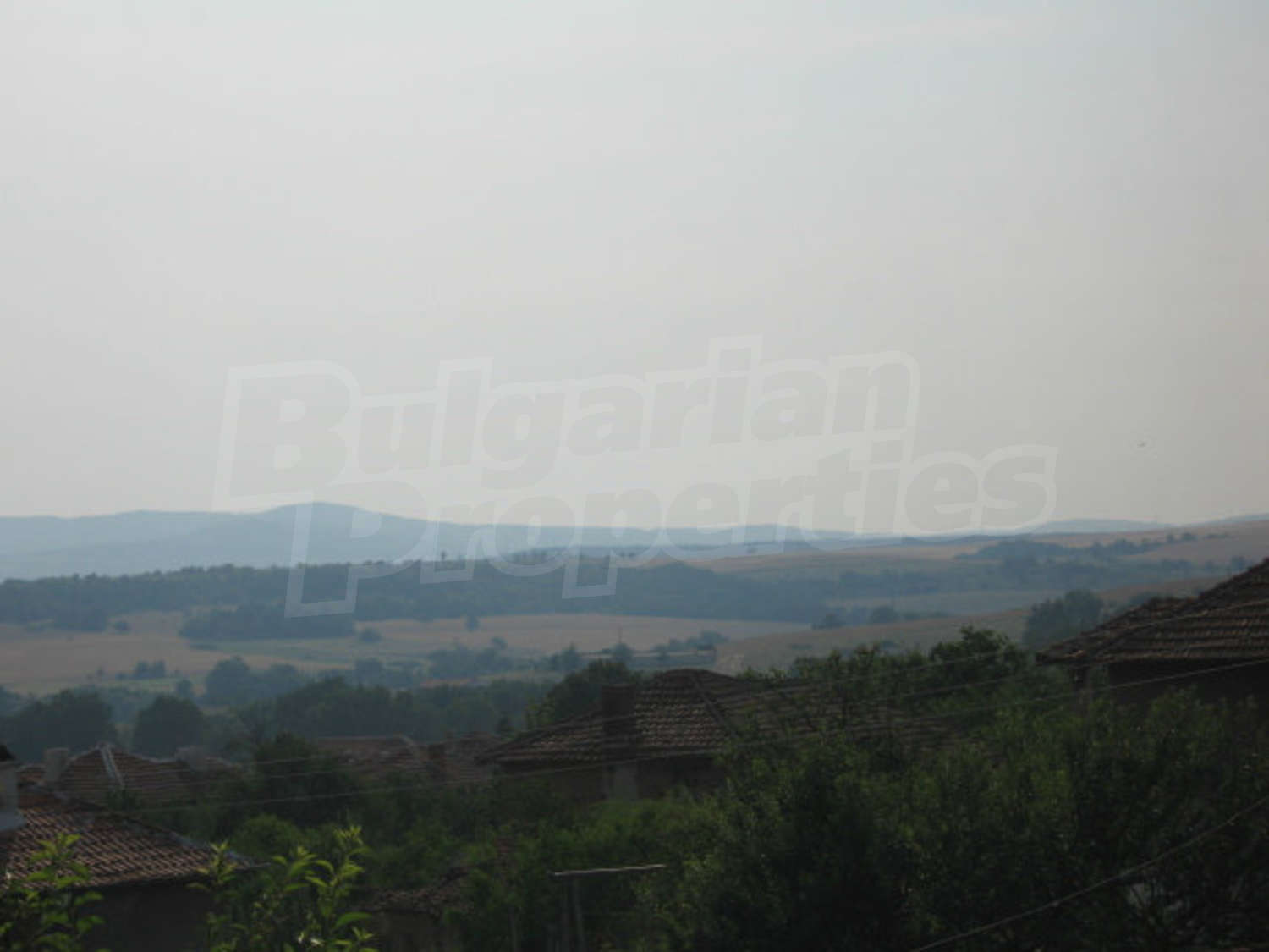 Gallery Picture 30
