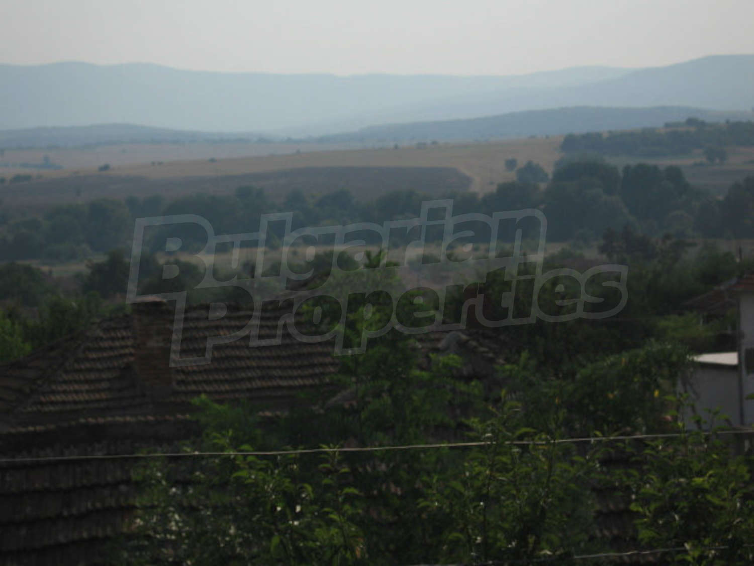 Gallery Picture 31