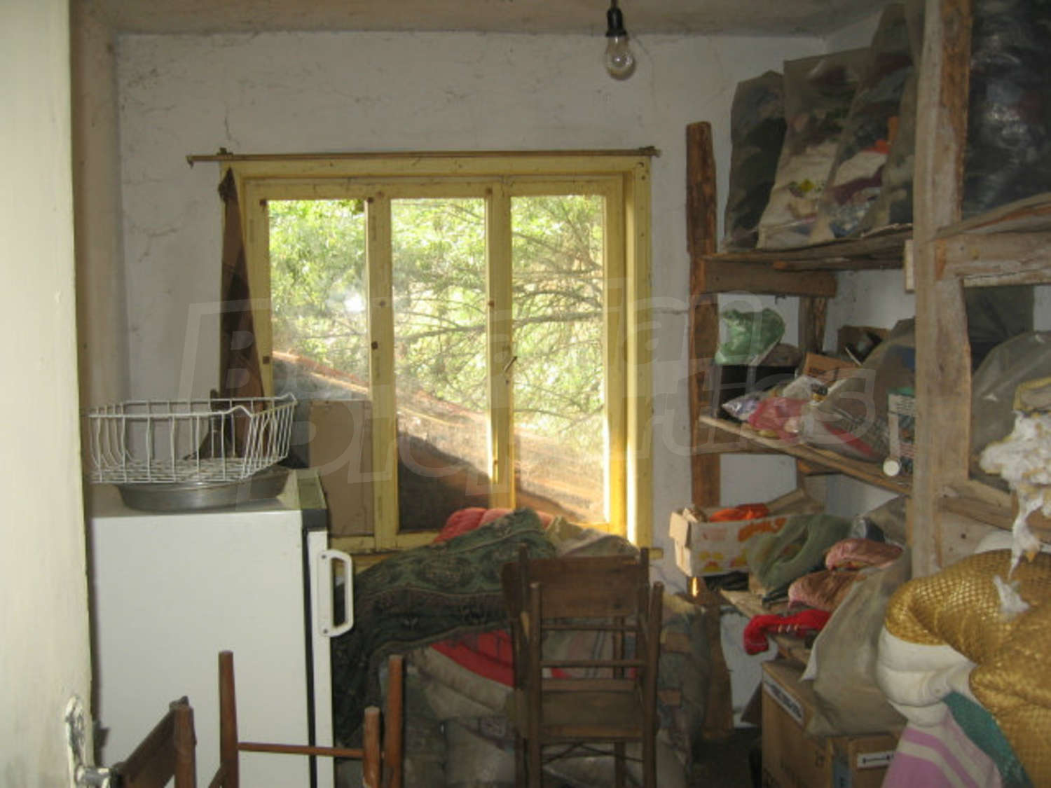 Gallery Picture 33