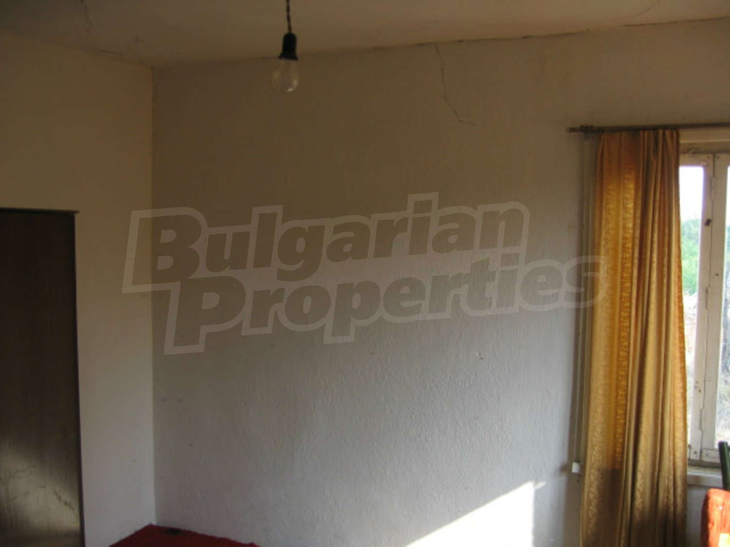 Gallery Picture 36