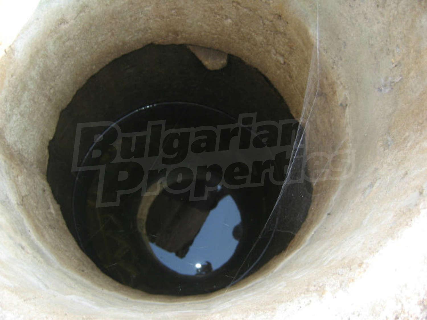 Gallery Picture 45