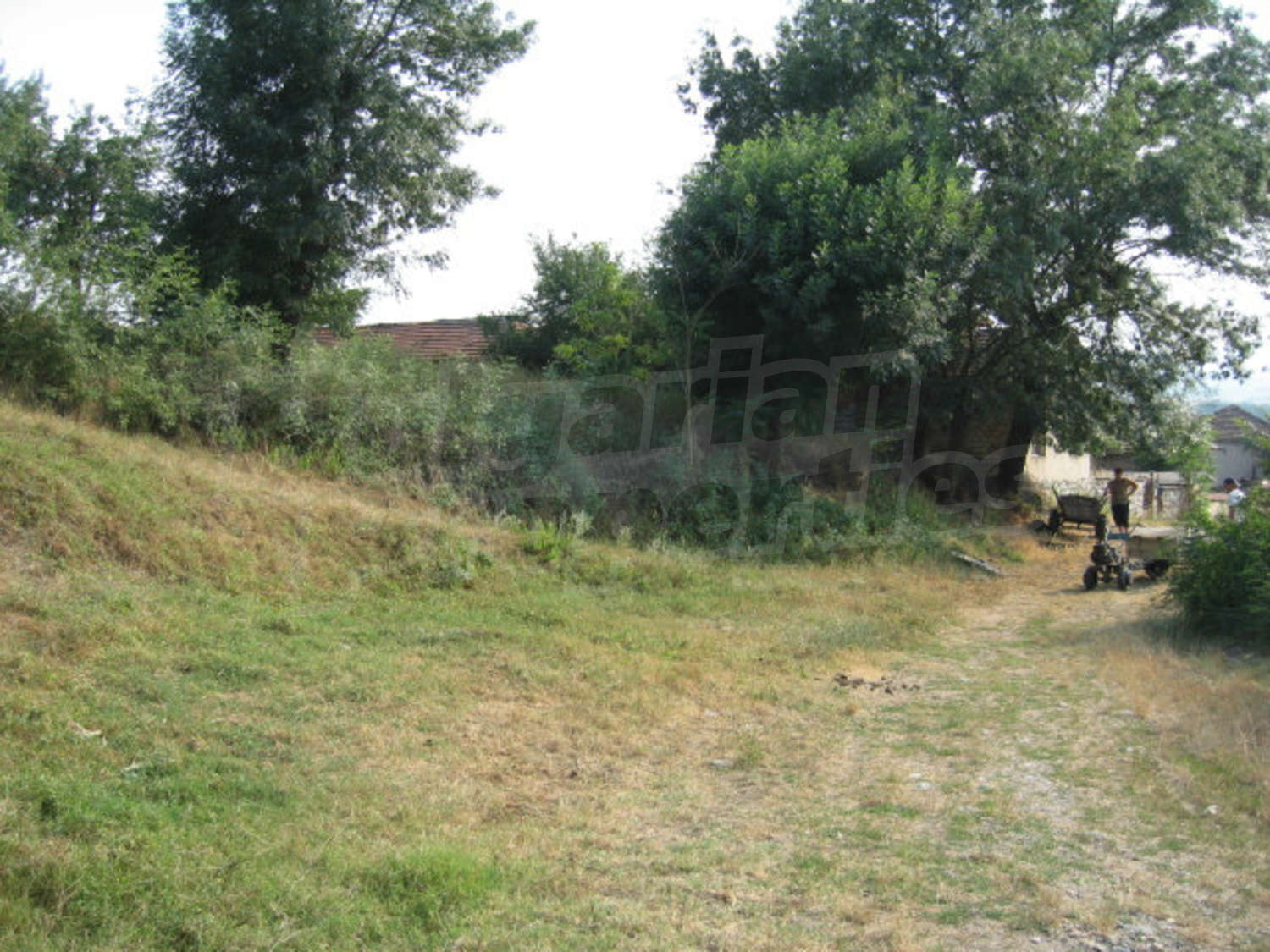 Gallery Picture 46