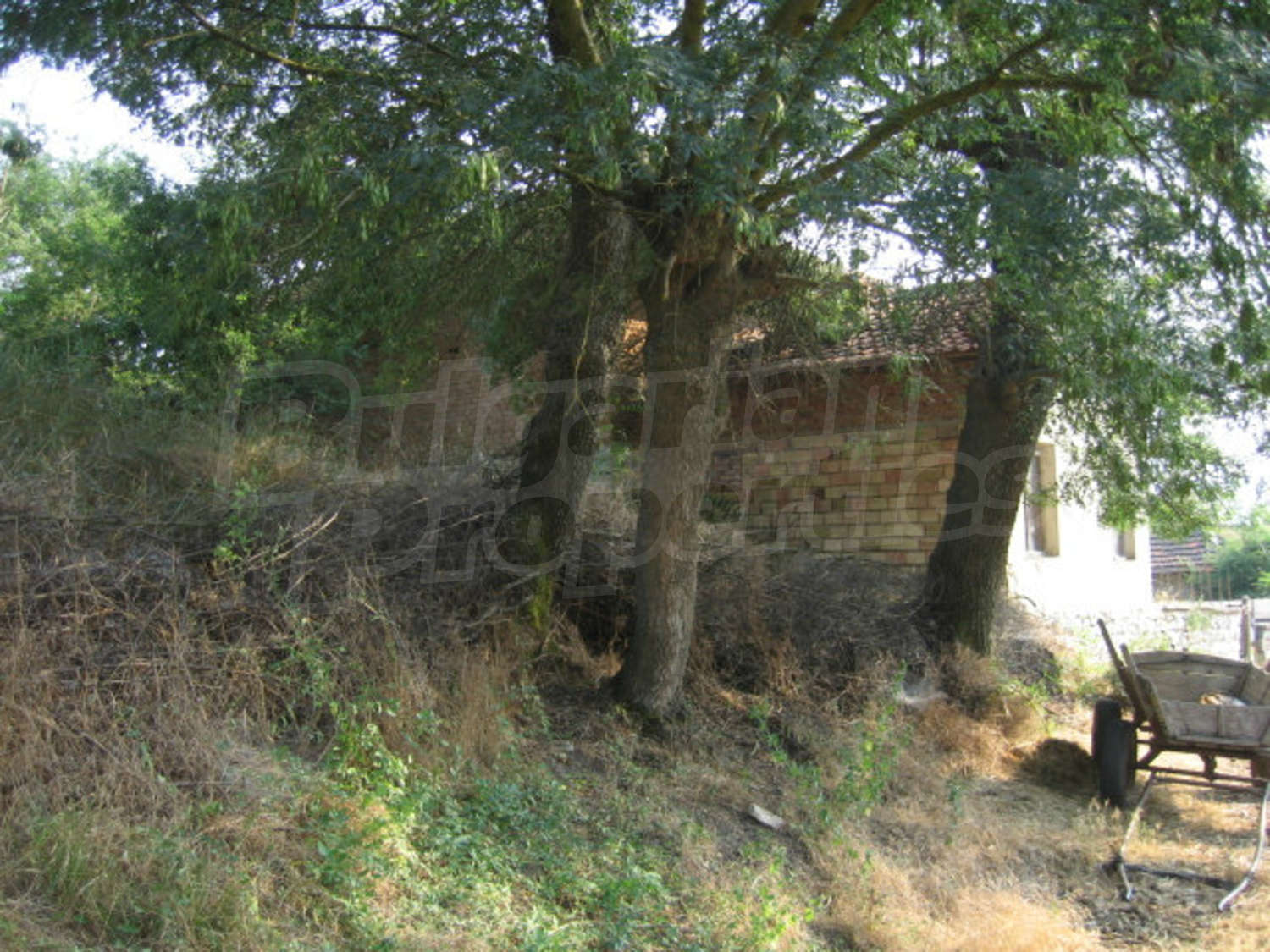 Gallery Picture 47