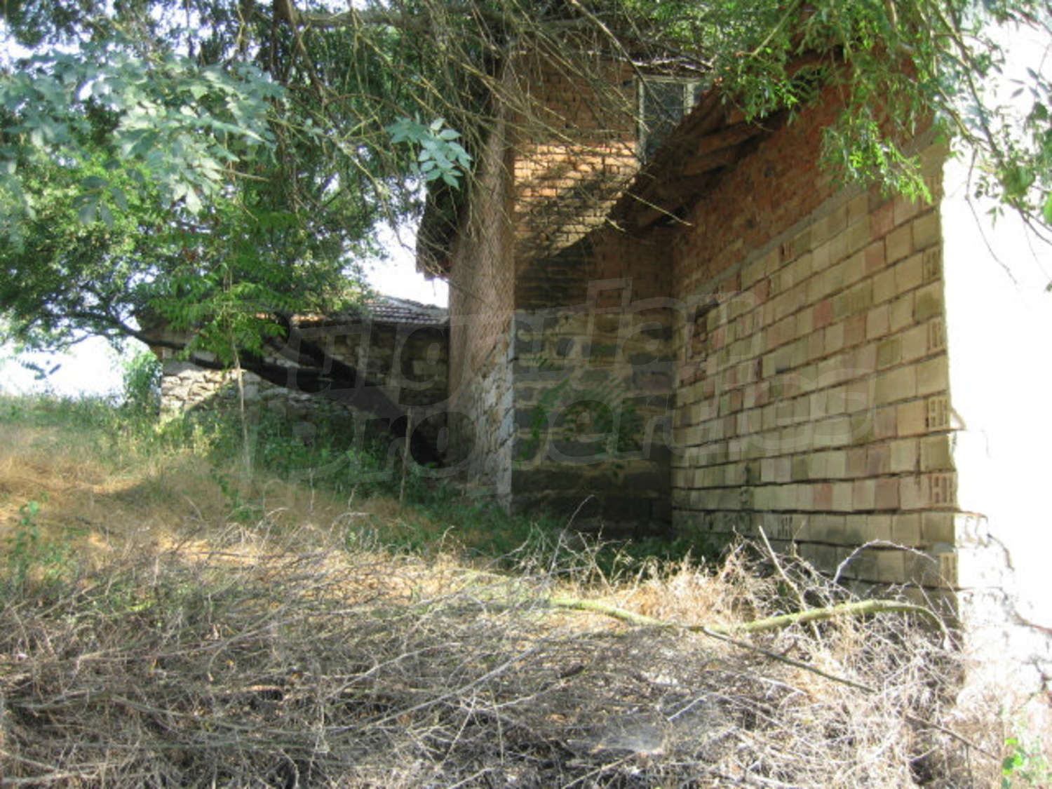 Gallery Picture 7