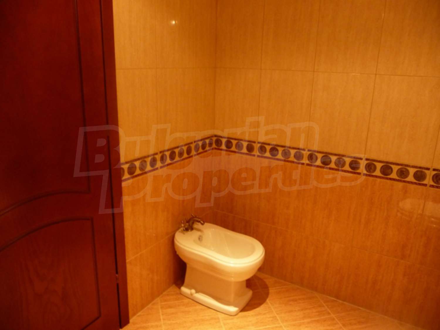 Gallery Picture 15