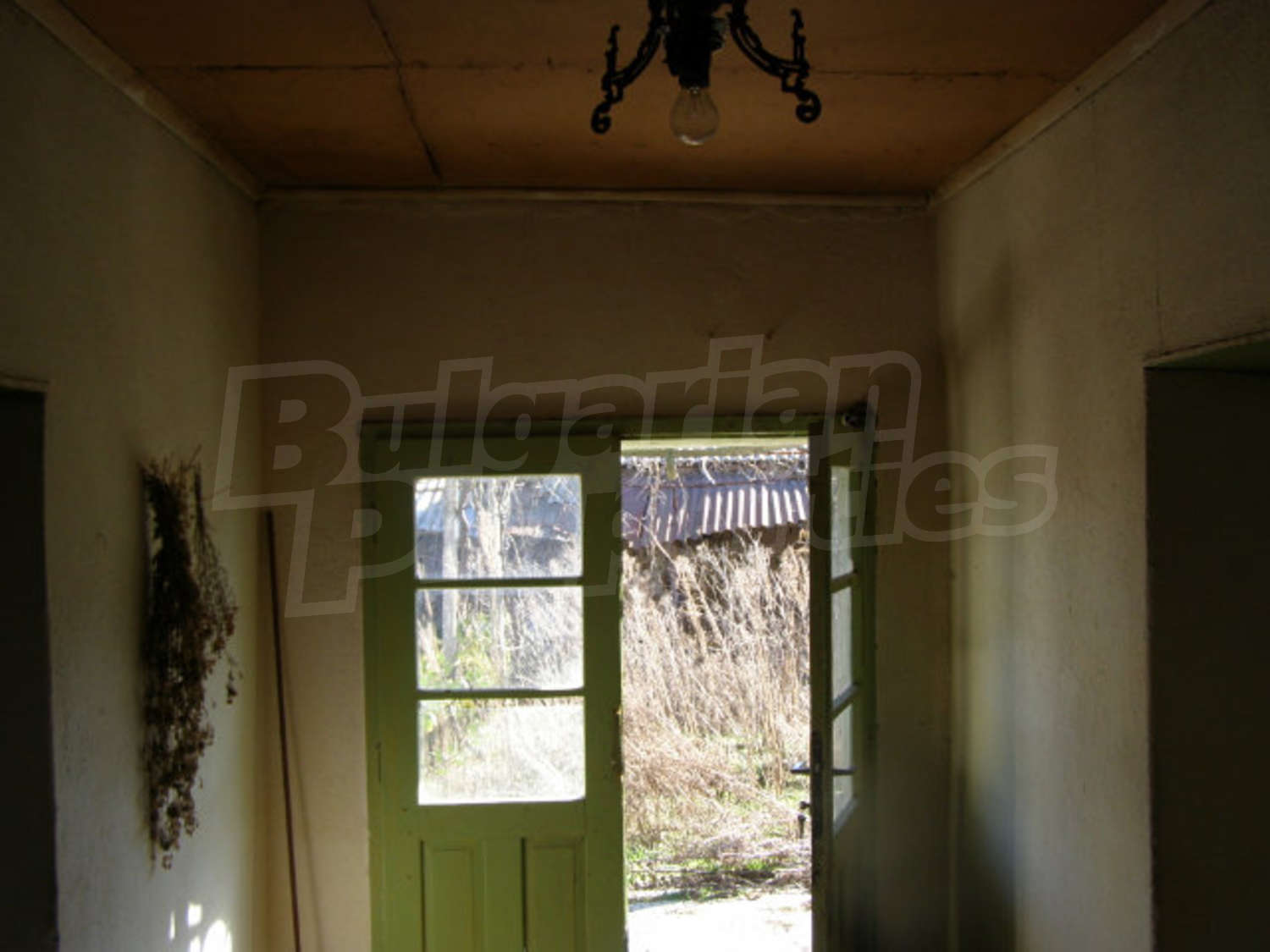 Gallery Picture 12