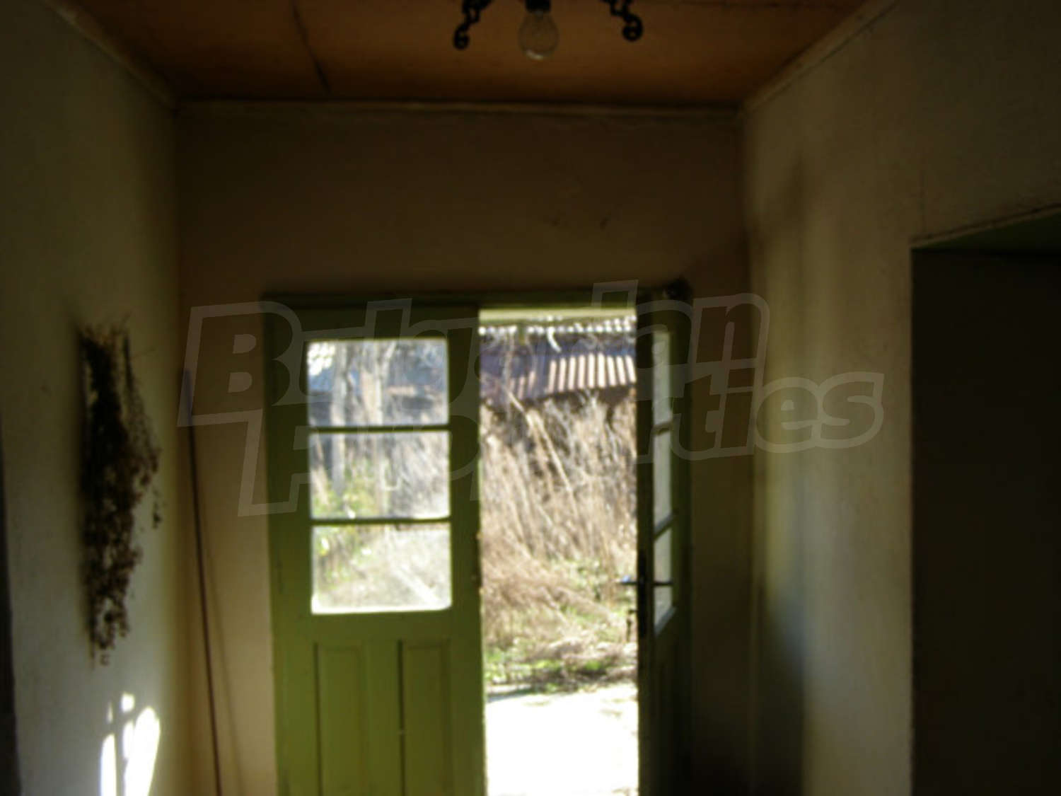 Gallery Picture 13