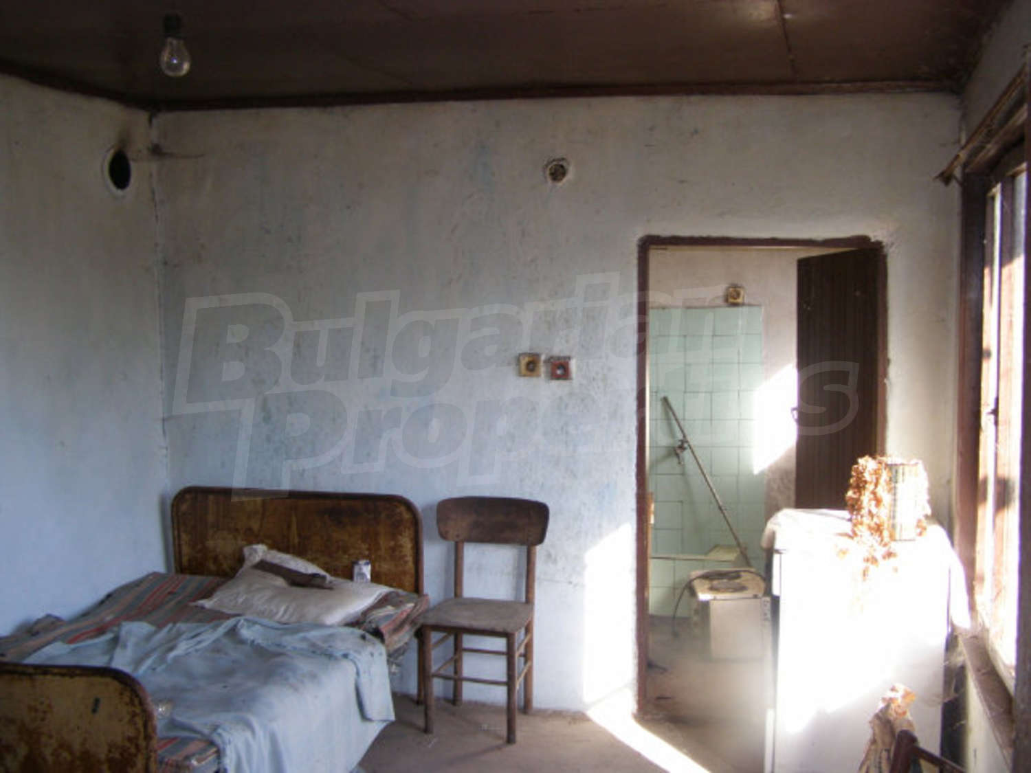 Gallery Picture 14
