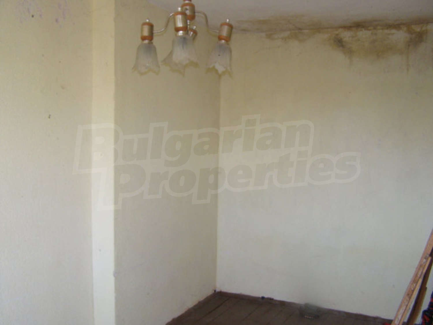 Gallery Picture 15
