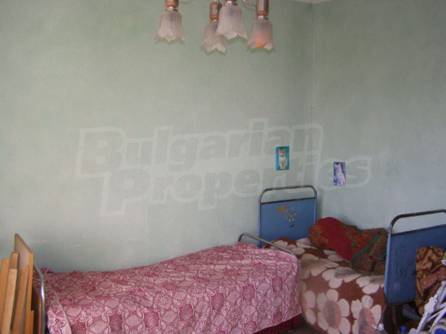 Gallery Picture 19