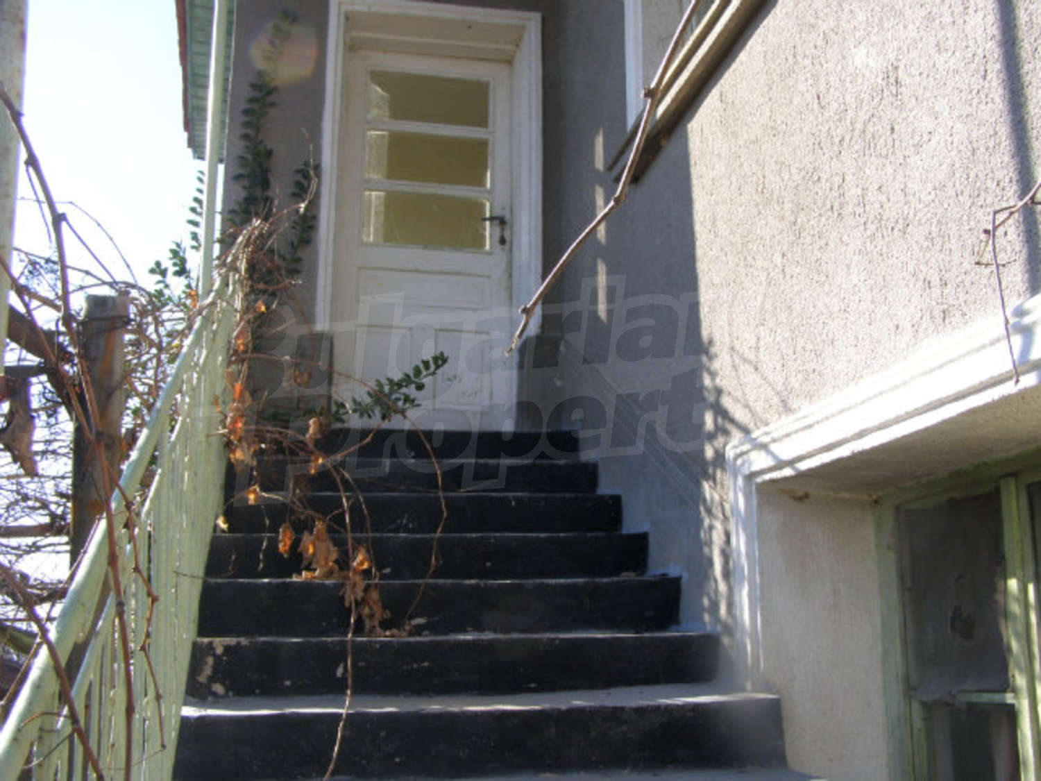 Gallery Picture 6