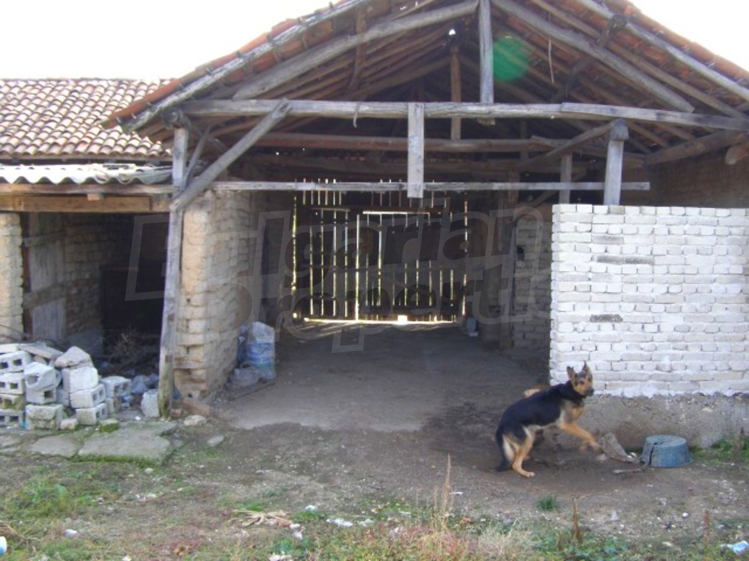 Gallery Picture 18