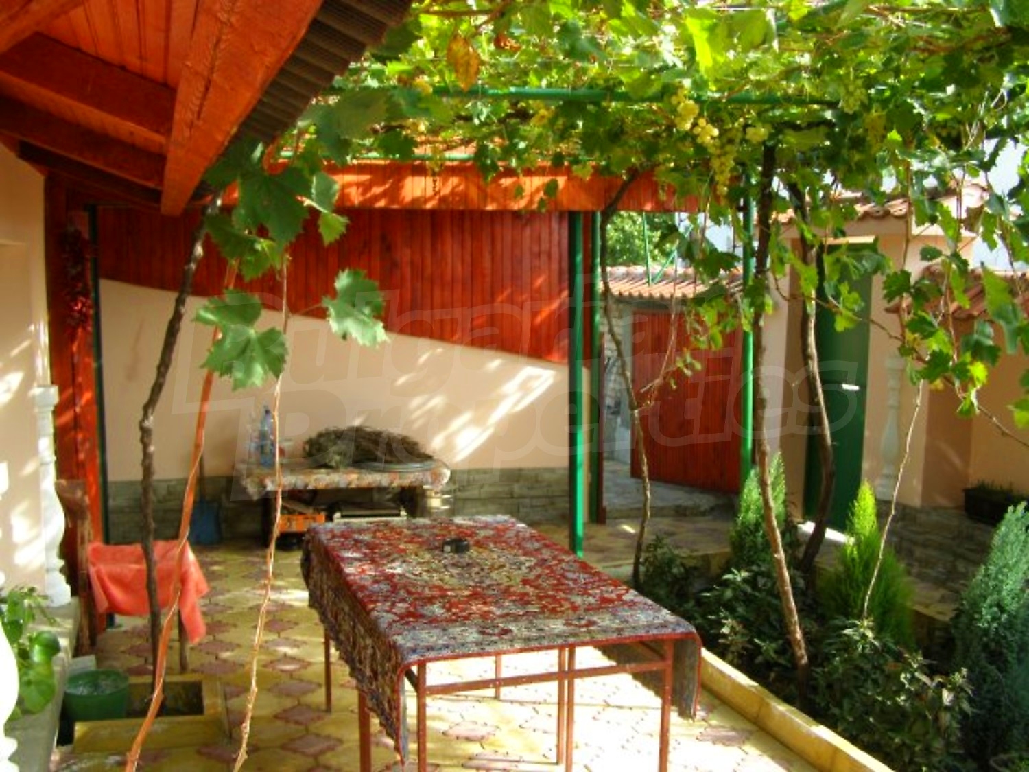 Gallery Picture 23