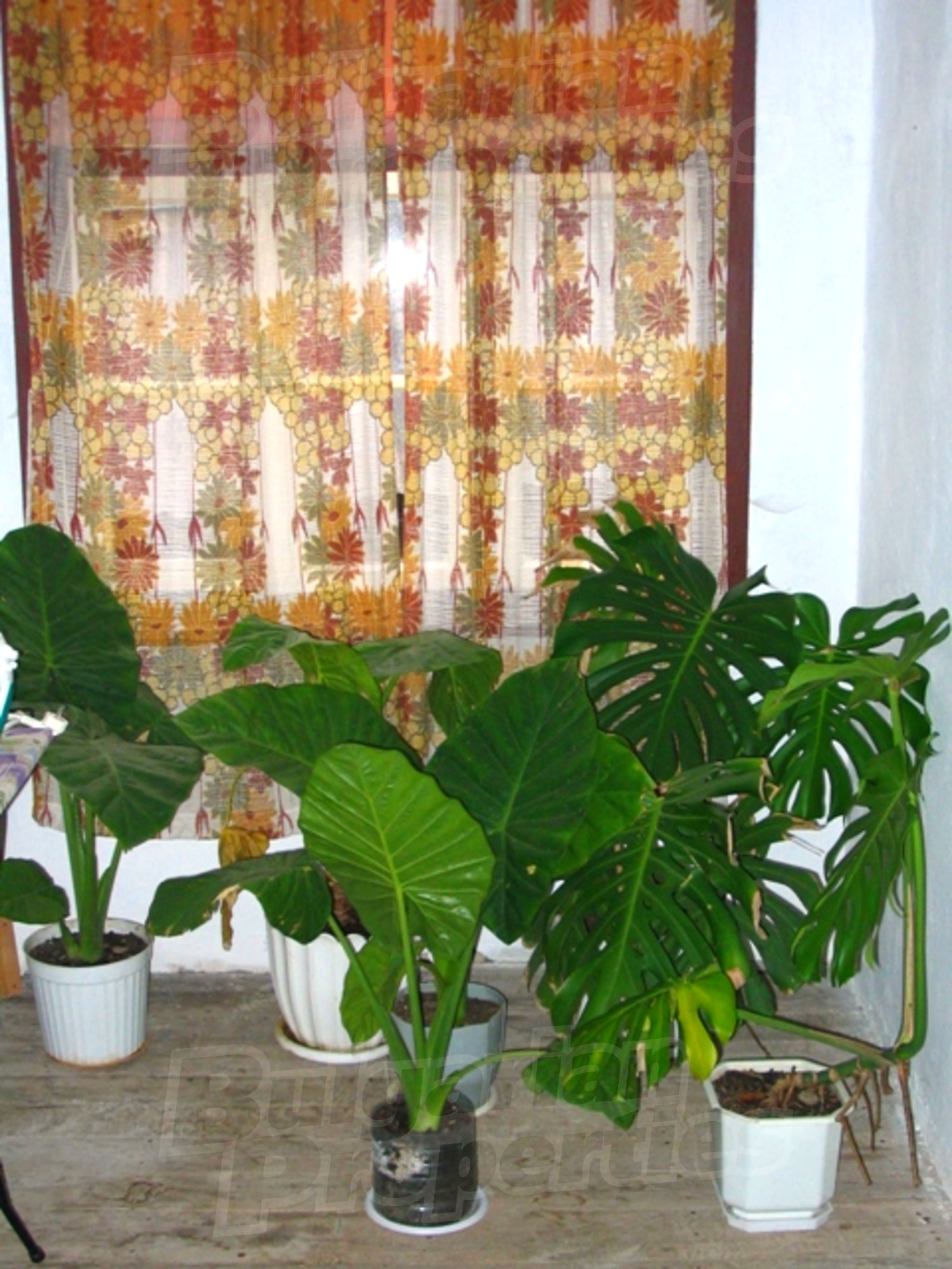 Gallery Picture 11