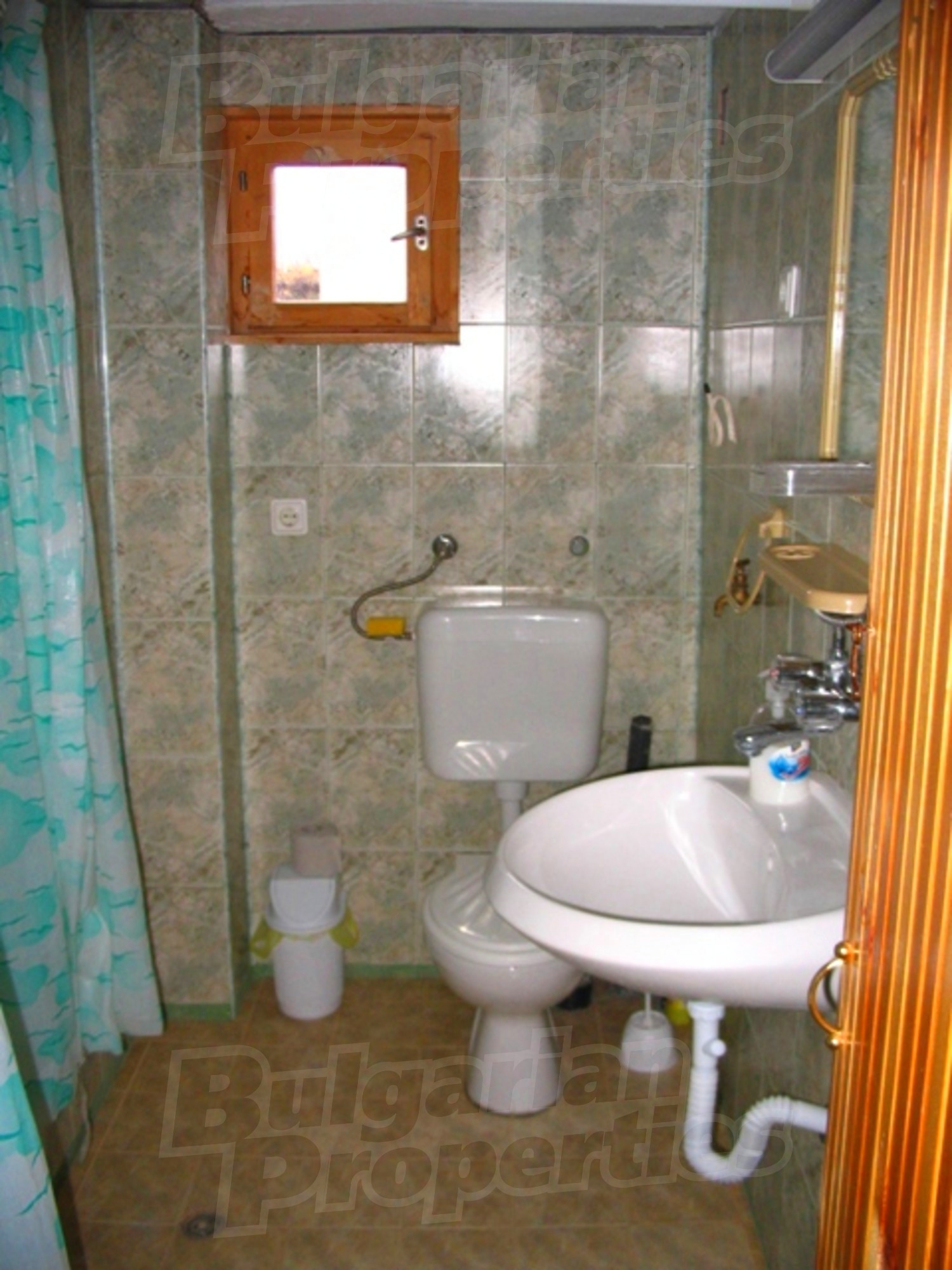 Gallery Picture 12