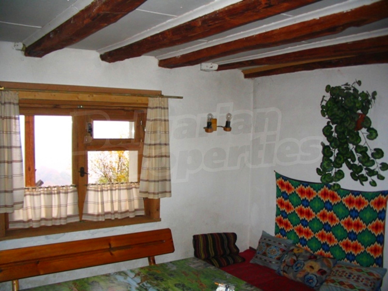 Gallery Picture 14