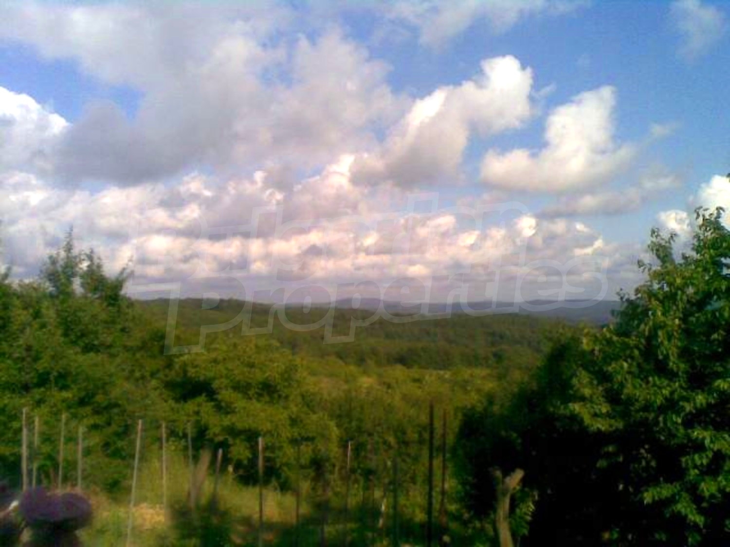 Gallery Picture 19